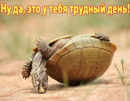 Когда у тебя действительно неудачный день