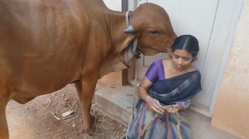 Указано же! :   Запрещено публиковать изображения, содержащие эротику! 
А тут?? сразу порно! без предварительных танцев!