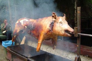 Дикий гусь головой пробил лобовое стекло автомобиля