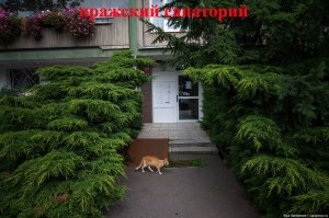 Панельное наследие социализма в Праге и как в нём живут чехи