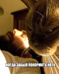 Фотоподборка за 28.02.2017