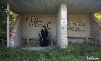 Самые необычные автобусные остановки мира