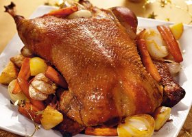 Дикий гусь головой пробил лобовое стекло автомобиля