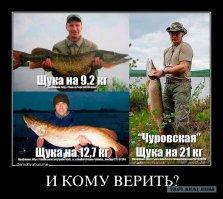 20 вирусных фото, оказавшихся фальшивками