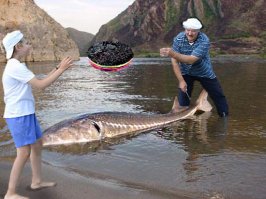 а Данкверт говорит санкционка