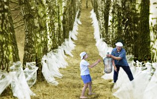 а Данкверт говорит санкционка