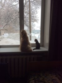 Попробуйте обидьте.