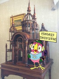 Фотоподборка за 01.03.2017