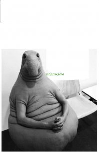 Да что там происходит