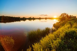 33 финалиста фотоконкурса Sony World Photography Awards 2017