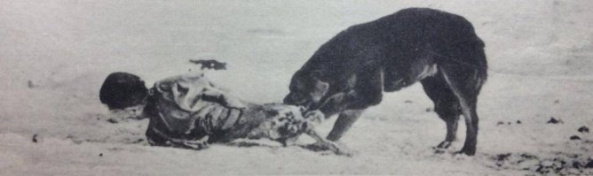 Интересно, что еще в начале 20 века в Монголии сохранялись зороастрийские представления о погребальной обрядности, и это при том, что монголы зороастрийцами формально не являлись, они практиковали буддизм и шаманизм.
На данный момент сложно сказать, какая религиозная система (буддизм или шаманизм) позволила сохранить эти зороастрийские представления. Существует мнение, что зороастрийский обряд выставления (выбрасывания) трупов пришел в Монголию из Тибета вместе с ламаистским буддизмом, и сейчас в Тибете практикуется "воздушное погребение", когда трупы скармливают птицам. Но стоит отметить, что и на Дальнем Востоке (на Амуре, в Корее), а также у лесных народов севера (якуты, чукчи и др.) обряд выставления трупов сохранялся очень долго.

Рассказы русских путешественников 19 и начала 20 века дают хорошее представление о погребальных практиках в Монголии (и у монгольских народов, например, у калмыков). Русские очевидцы отмечали важную роль собаки (священного животного у зороастрийцев) в погребальных ритуалах.

Н.М.Пржевальский "Путешествие в Уссурийском крае", "Монголия и страна тангутов":
"Путешественник встречает более отвратительные сцены на кладбище, которое лежит возле самой Урги. Здесь трупы умерших не зарываются в землю, но прямо выбрасываются на съедение собакам и хищным птицам. Потрясающее впечатление производит подобное место, усеянное грудами костей, по которым, как тени, бродят стаи собак, исключительно питающихся человеческим мясом. Не успеют бросить сюда свежий труп, как его уже начинают терзать эти собаки, вместе с воронами и коршунами, так что через час или много два ничего не остается от мертвеца. Буддисты даже считают хорошим признаком, если труп будет скоро съеден   иначе человек, по их понятиям, не был при жизни угоден богу. Ургинские собаки до того привыкли к подобной поживе, что в то время когда труп несут на кладбище по улицам города, то вместе с родственниками за покойником неминуемо следуют собаки, часто из его собственной юрты."