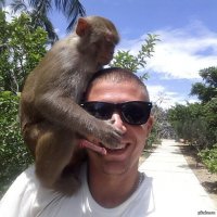 Вы подошли слишком близко: забавные встречи любознательных животных с туристами