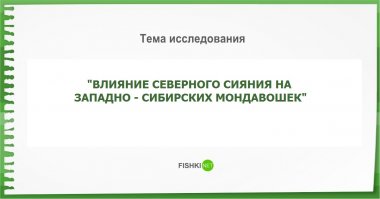 Реальные, но безумные темы дипломов