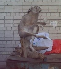 Что, если бы персонажи "Зверополиса" были людьми?