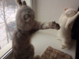 УазАААА
УаЗАААА!!!