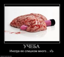Сегодня Алексею Балабанову было бы 58