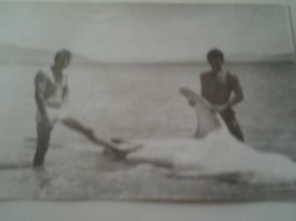 про китовую акулу звездешь - у нее даже зубов нет , какой нах хычник .