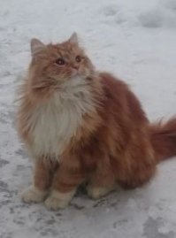 Кузьма Бабушкин)