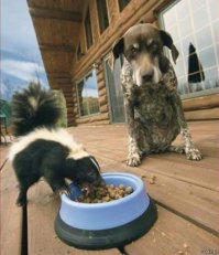 Фотоподборка за 01.03.2017