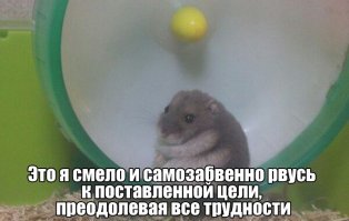 Ваша хомячковая братия уже много лет твердит это как мантру. Только вот как вы выглядите со стороны))