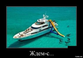 Жажда крови: 15 страшных нападений акул, снятых на камеру