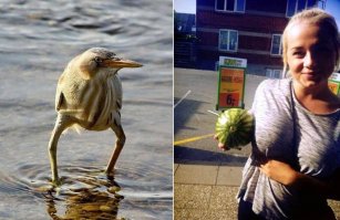 Дени, что с тобой сделала жизнь!