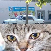 Пост о дискриминации, который шокирует многих правозащитников