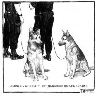 Служебные собаки: четвероногие храбрецы