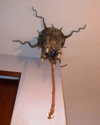 Этот питон проглотил опоссума прямо на глазах у туристов