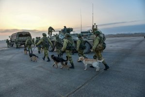 Служебные собаки: четвероногие храбрецы
