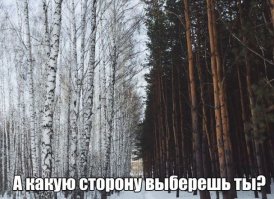 Не сезон, а так - за подберезовиками - налево, опятами - направо. Ну или за зайцами - налево, за кабанчиком - направо.