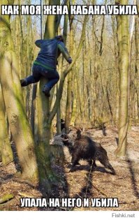 Озверевшие пятачки или прогулка по лесу пошла не по плану