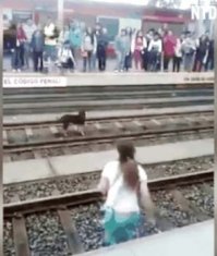 вот так, не приведи господь, и будет с теми, кто смотрит на беду другого, но нихрена не делает!
только один человек нашелся! остальные - потребители.