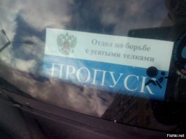 Жизненые мемы