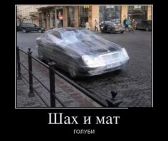  Подборка демотиваторов, которые поднимут вам настроение