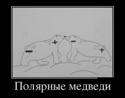  Подборка демотиваторов, которые поднимут вам настроение