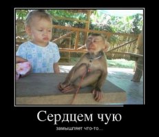  Подборка демотиваторов, которые поднимут вам настроение