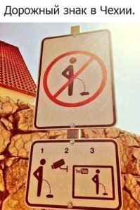 35 самых прикольных фотокадров