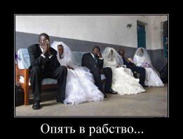 Разгневанной невесте пришлось тащить жениха на свадьбу в цепях