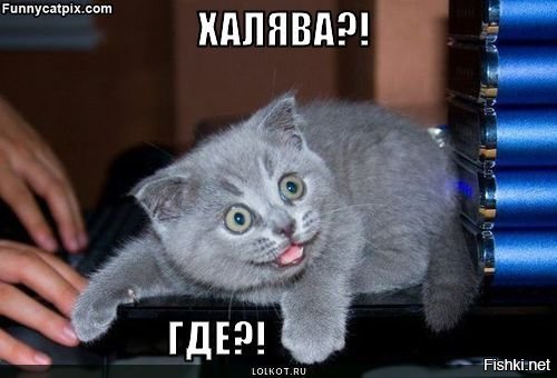 Простота хуже воровства