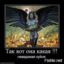 Вот она