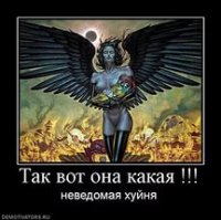 Вот она