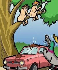 Тем временем в параллельной вселенной)