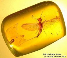 а я подумал мне мерещится от выпитого :)