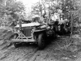 не садили больше 2х говоришь?