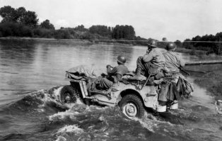 не садили больше 2х говоришь?