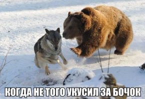 Погоня