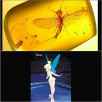 Да лан. Вы чё, гоните?