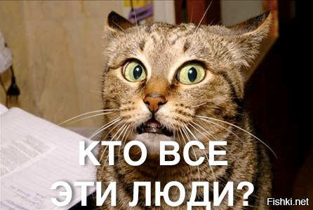 Как выглядели сливки Москвы 10 лет тому назад?