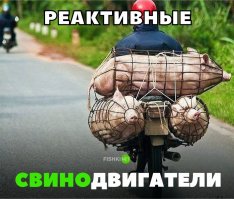 Не той стороной повёрнуты.